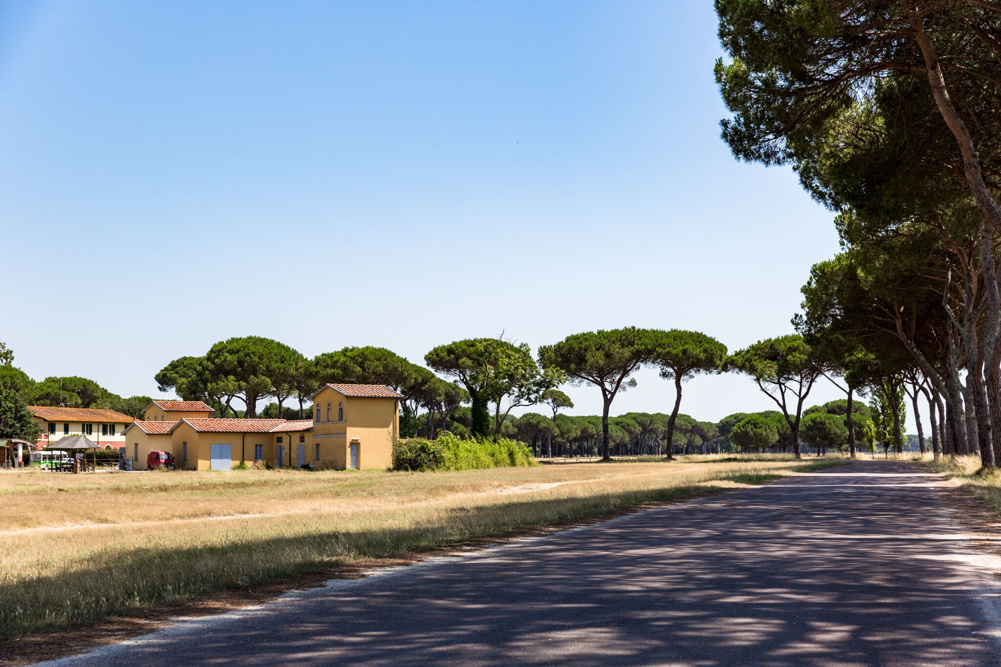 Parco naturale Migliarino San Rossore Massaciuccoli (Tuscany